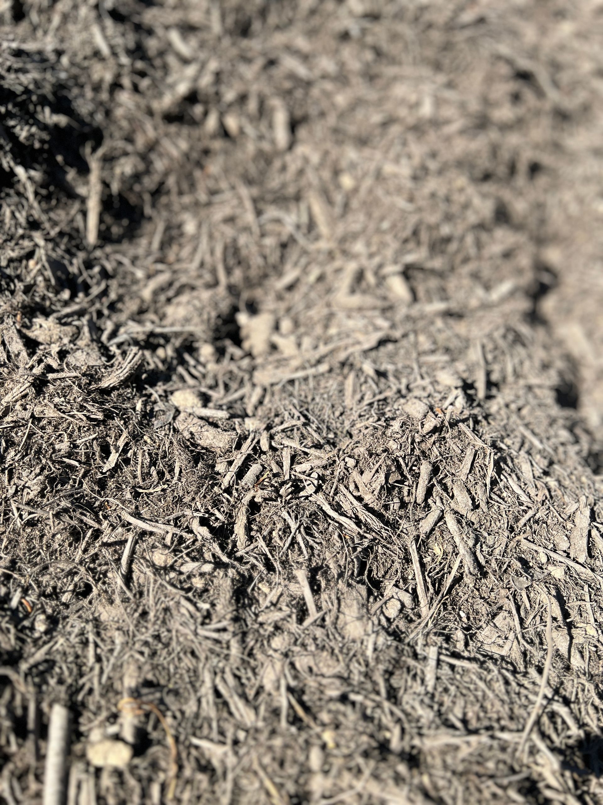 A Pile Of Dirt And Rocks On The Ground — Pigot's Mid Western Sand and Soil In Orange, NSW