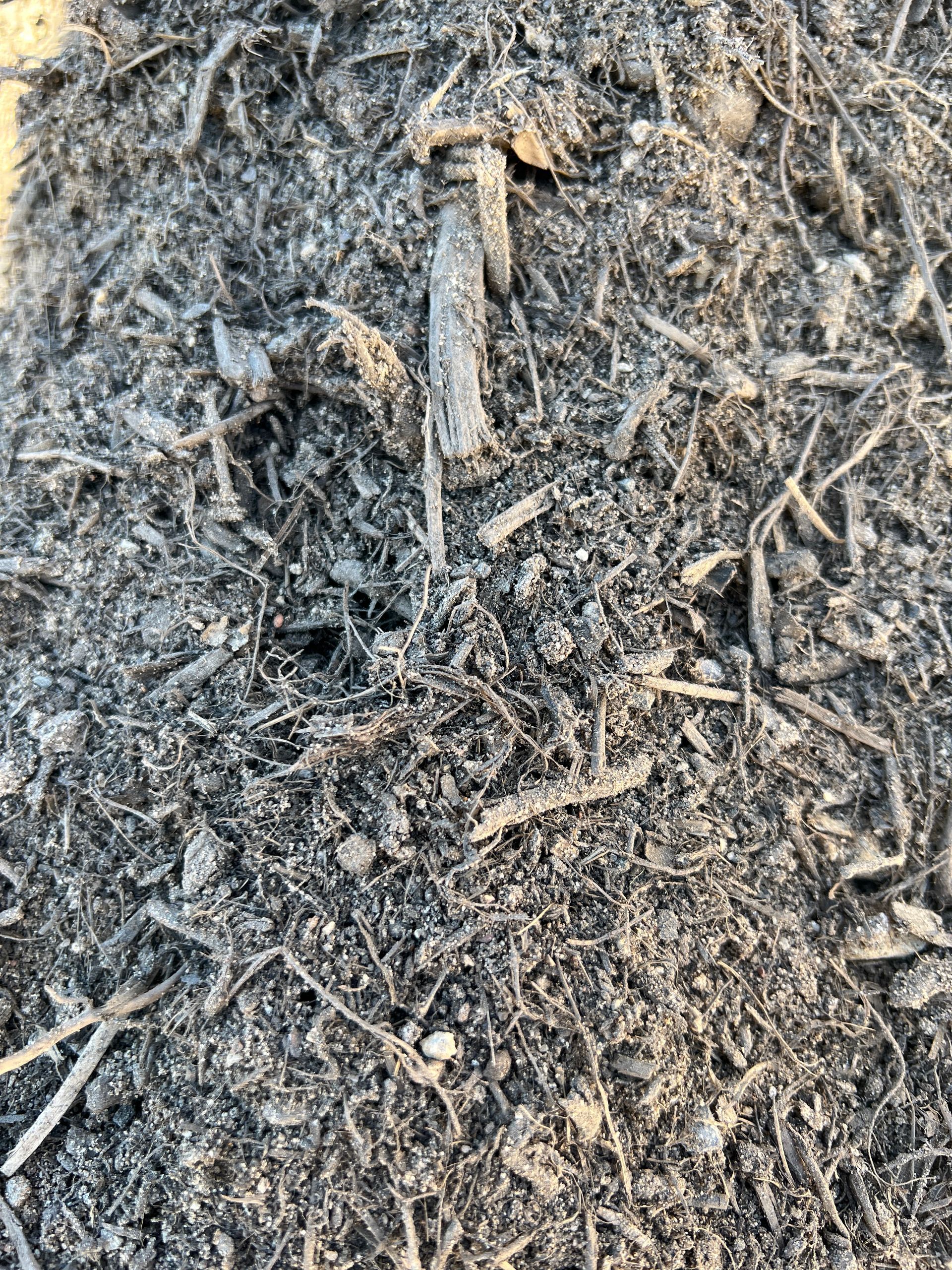 A Pile Of Wood Chips And Rocks On The Ground — Pigot's Mid Western Sand and Soil In Orange, NSW