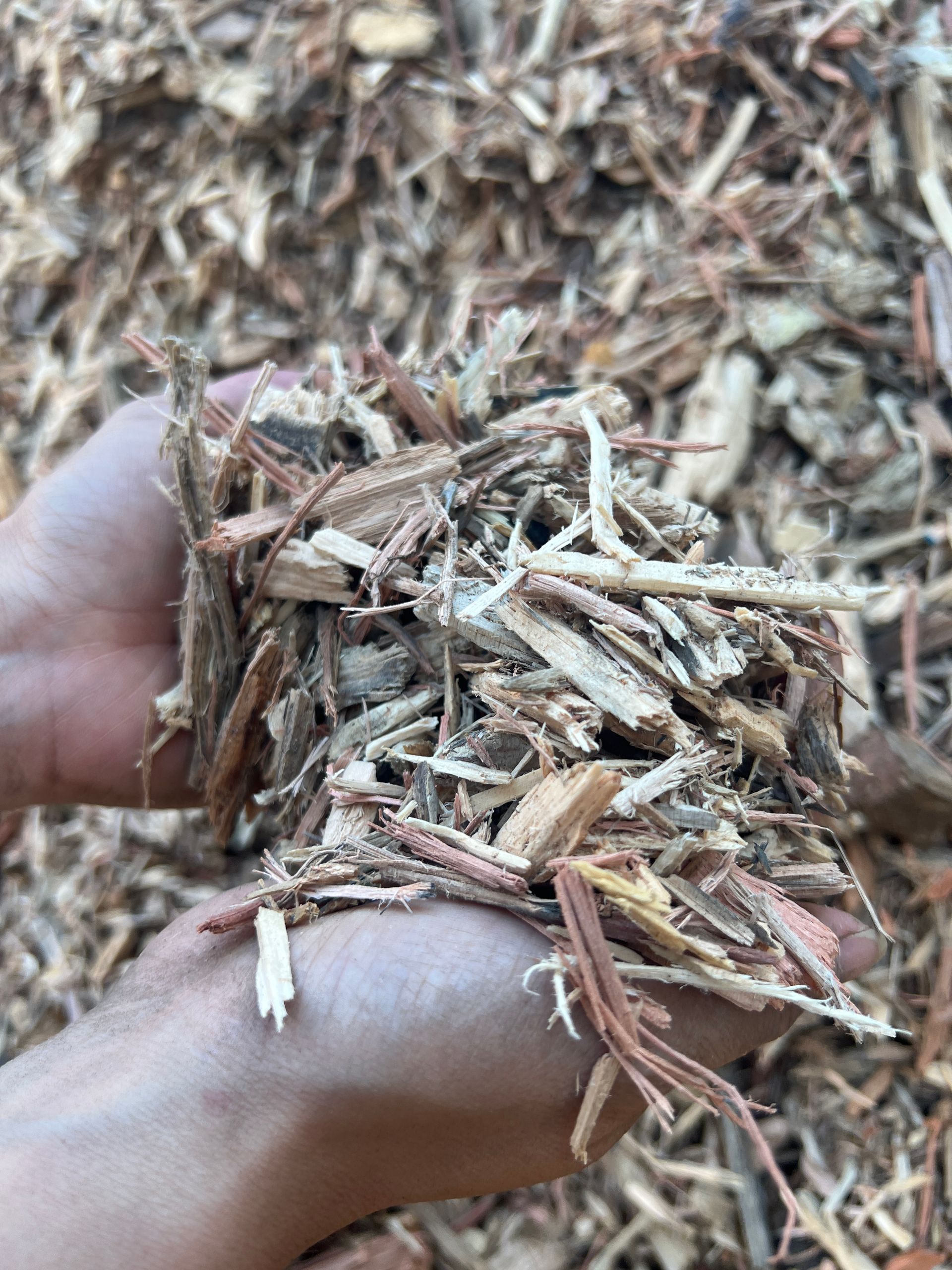 A person is holding a pile of wood chips in their hands — Pigot's Mid Western Sand and Soil In Orange, NSW
