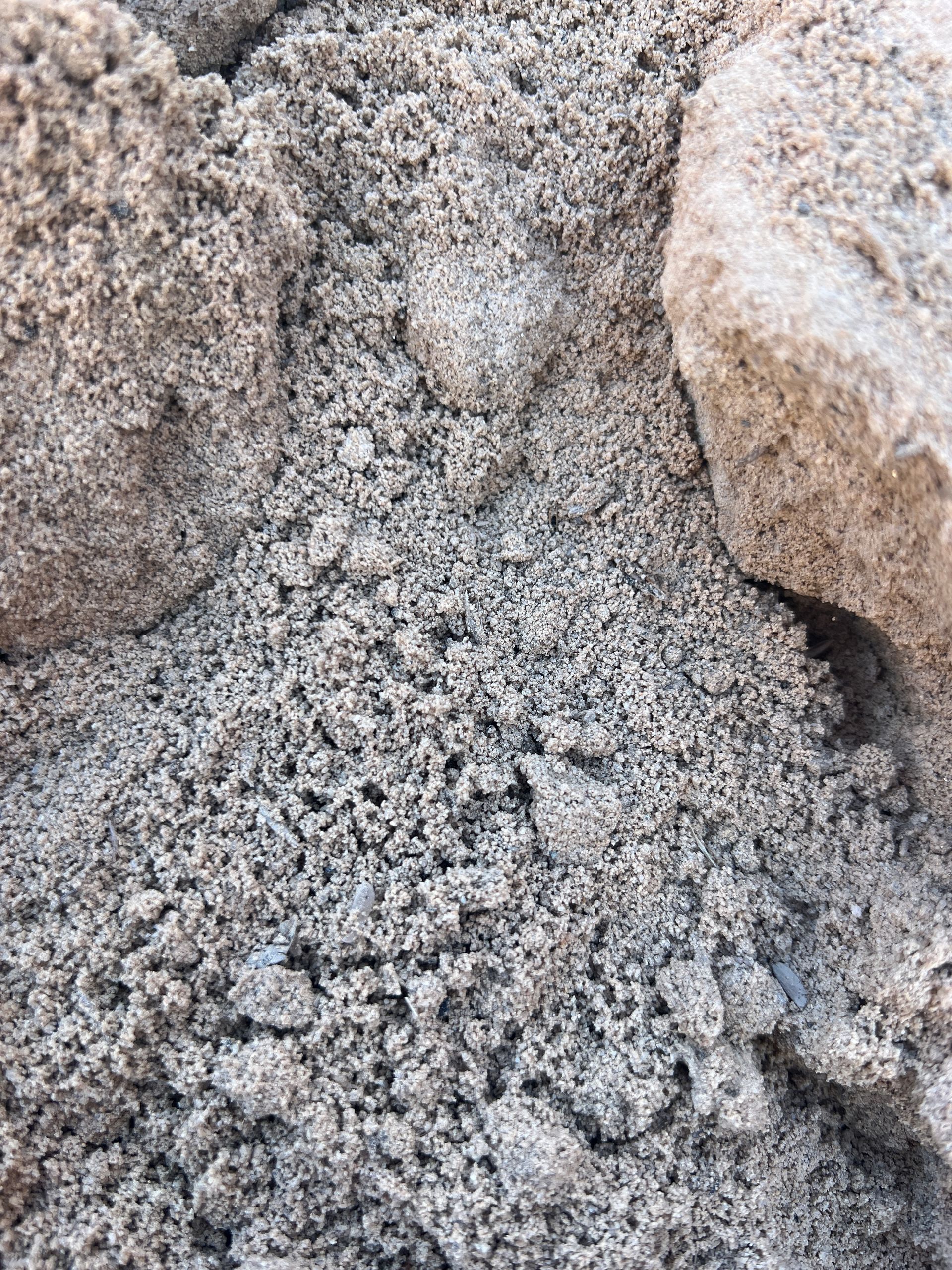 A Close Up Of A Gray Carpet Texture — Pigot's Mid Western Sand and Soil In Orange, NSW
