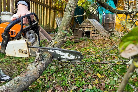 Cutting a Tree Branch With a Chainsaw — Holland, MI — Steve & Trav's Tree Works