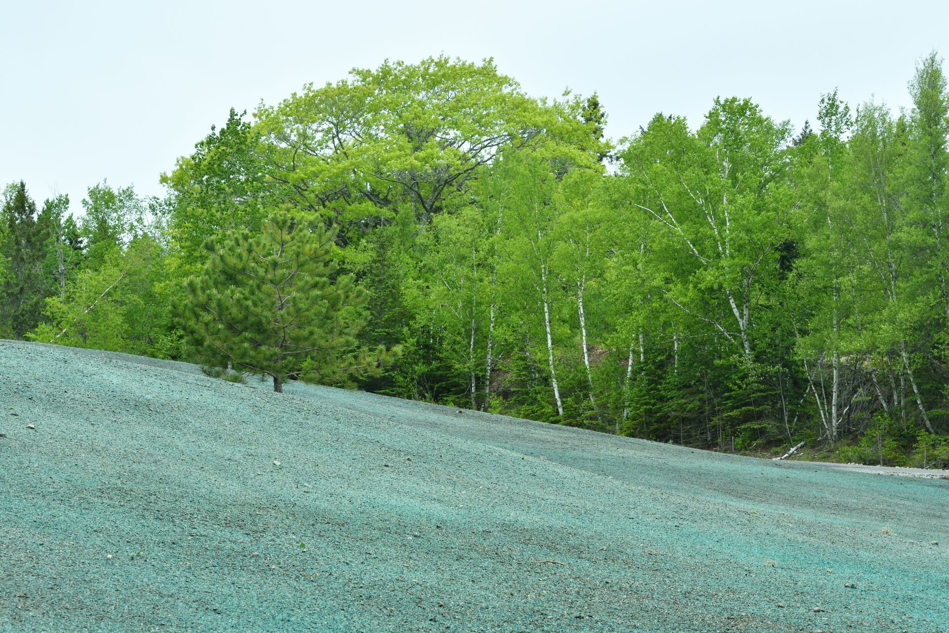 Green trees on a hillside above a pale blue gravel slope under a cloudy sky