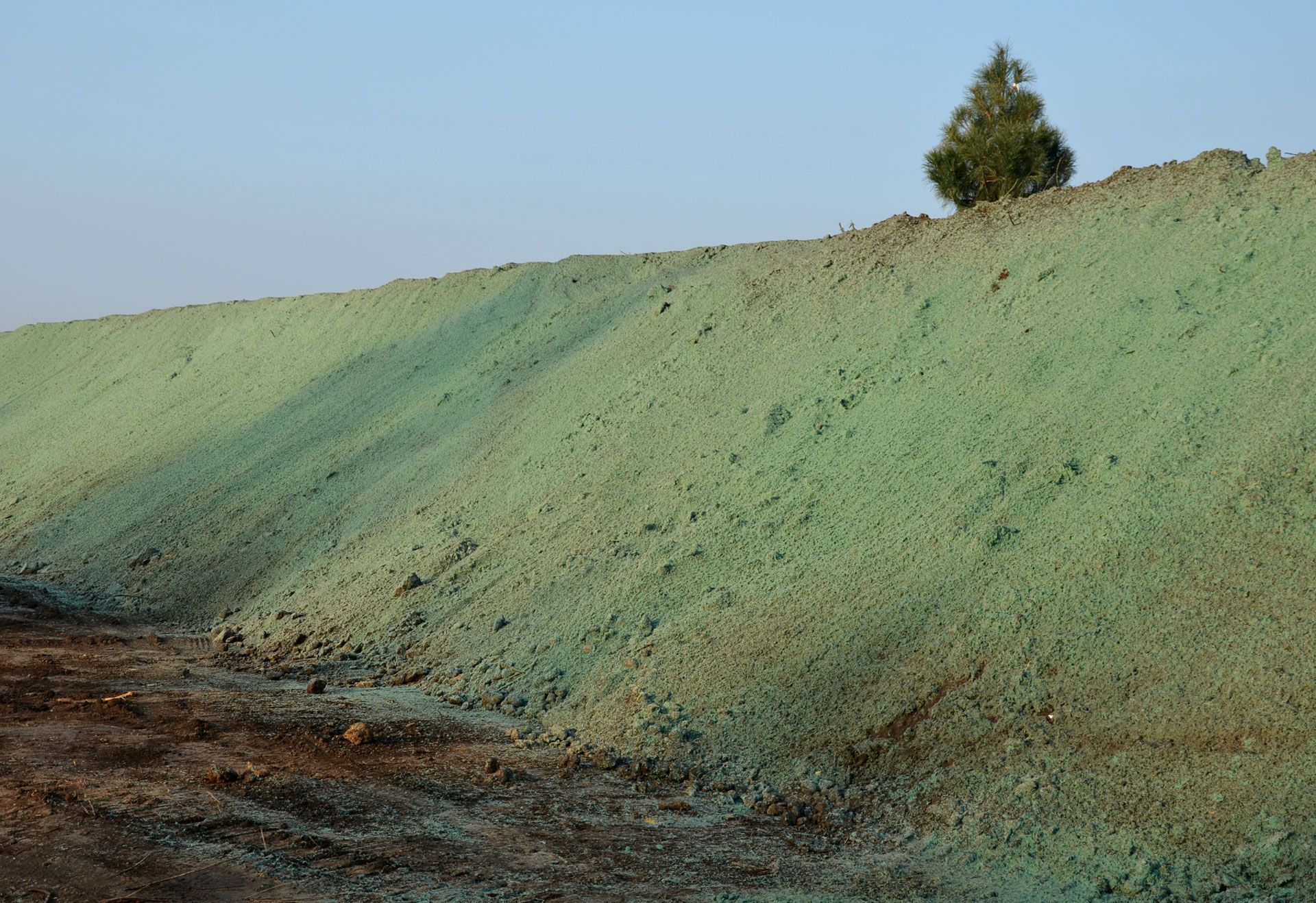 A sloped green embankment beside a dirt road, with a lone tree on the ridge under a clear sky.