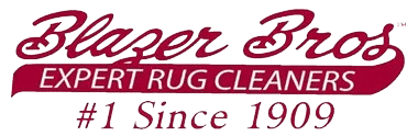 Area Rug Cleaning Drop Off  Brothers Cleaning Services