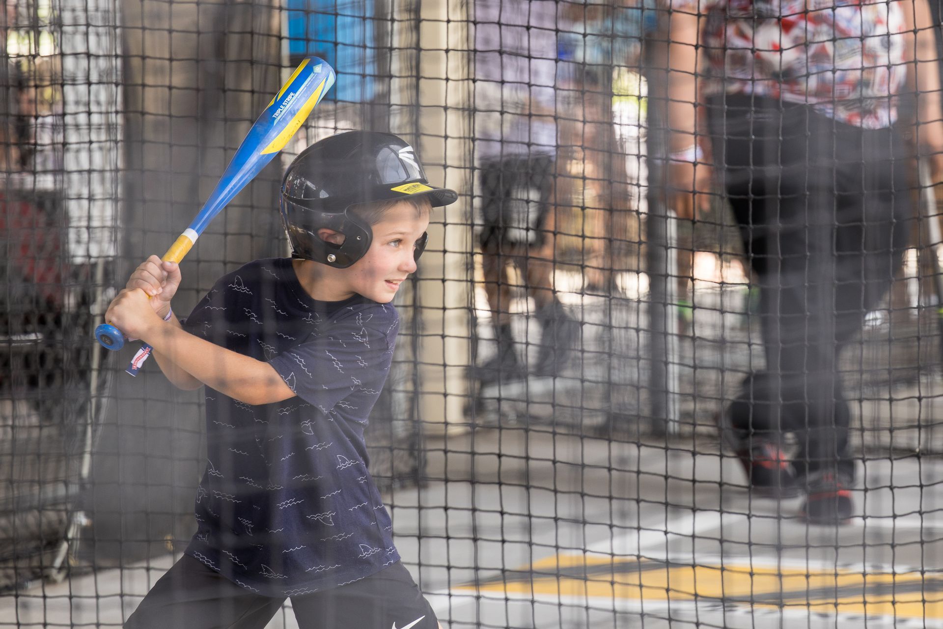 <p class="rteBlock">Batting Cages</p>