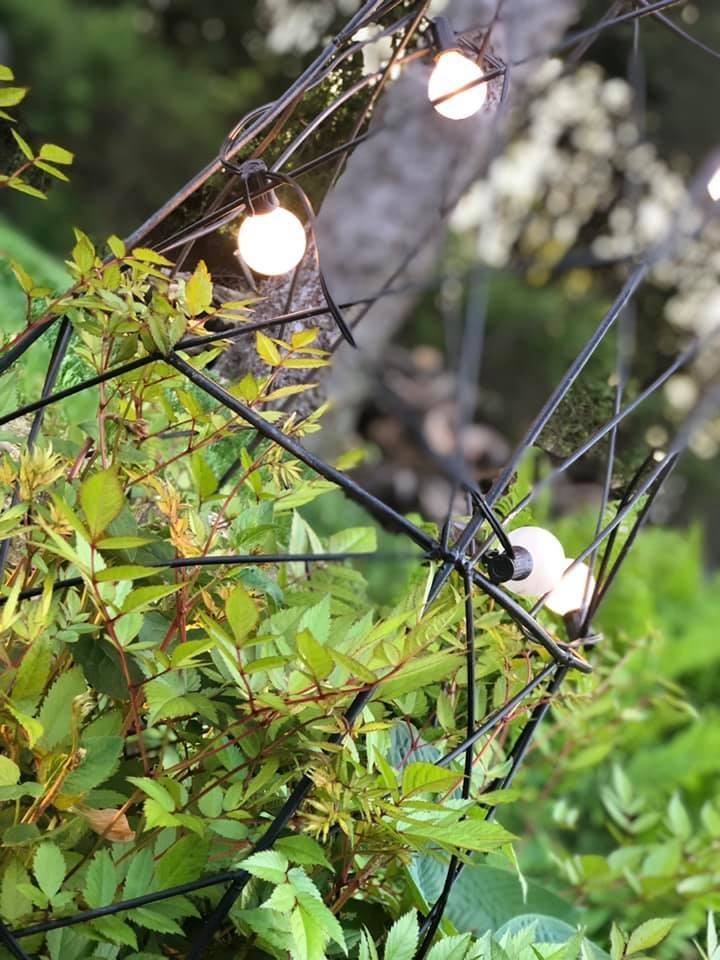 A bunch of lights are hanging from a tree in a garden.