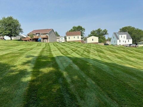 A lush green lawn with a row of houses in the background.