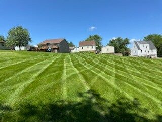 A lush green lawn with houses in the background on a sunny day.