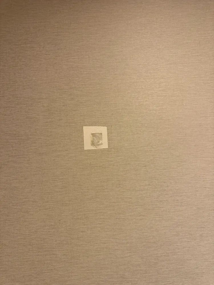 A picture of a cat is hanging on a wall.