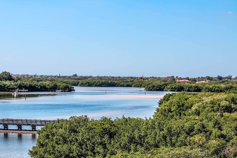 Riverfront with trees on both sides and a blue sky