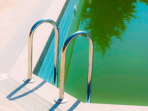 Solid green colored pool