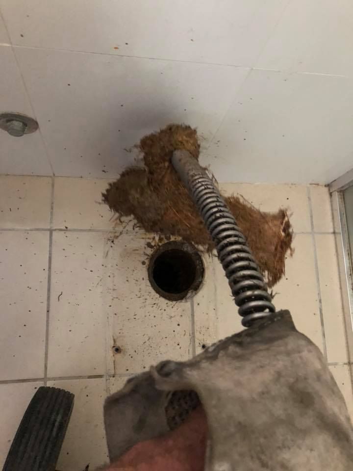 Plumber clearing a drain in a tiled bathroom; a snake tool is removing a large hair clog. — Precise Plumbing & Drainage in Tuggeranong, ACT