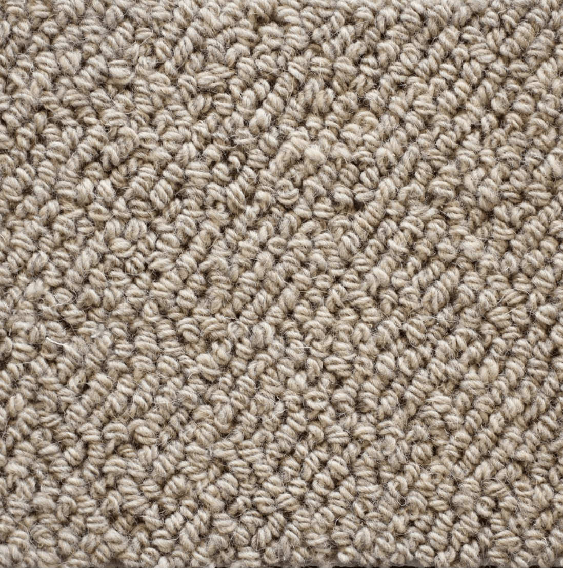 ASTOR PLACE: PRALINE: ST01