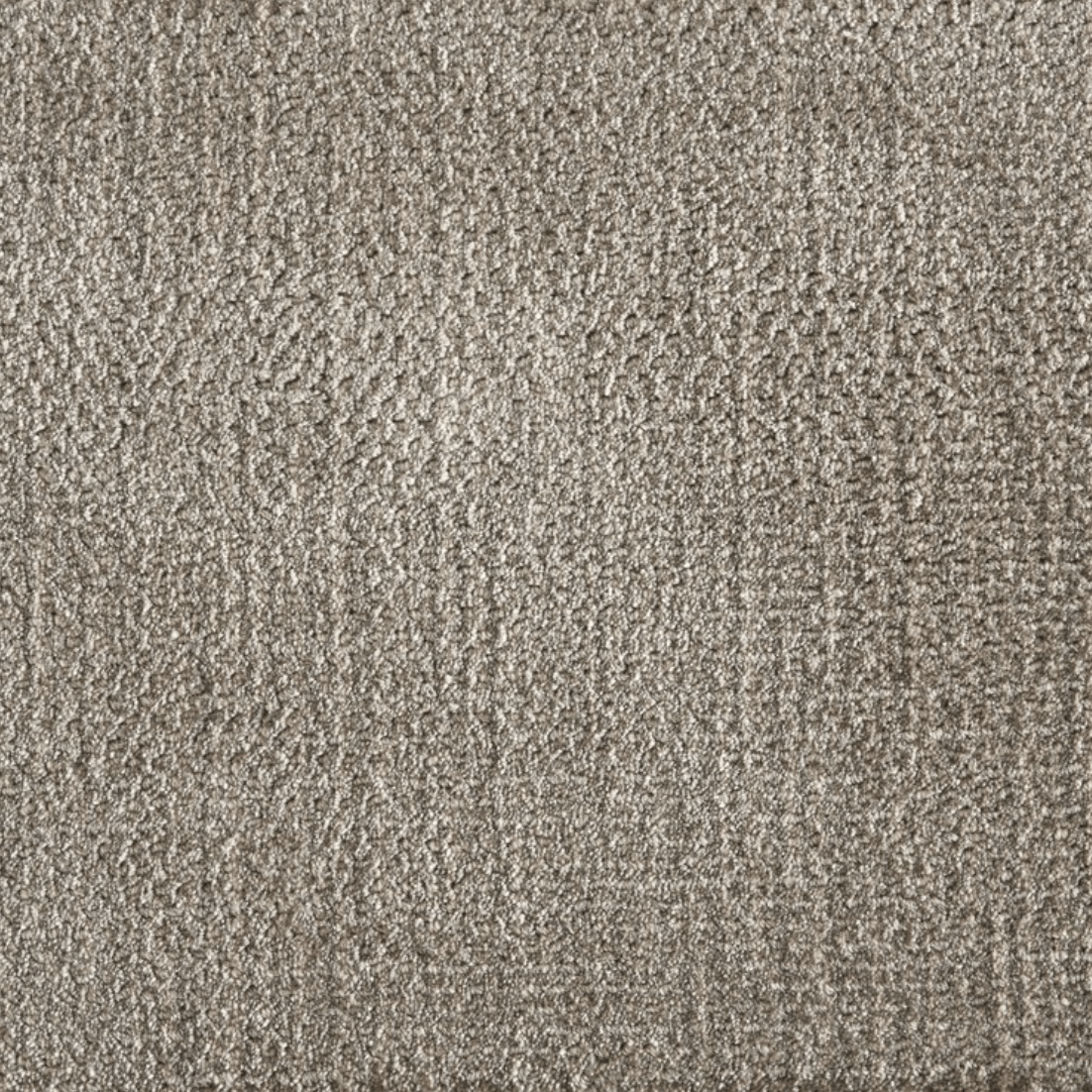 AUBURN: FOSSIL: STA1