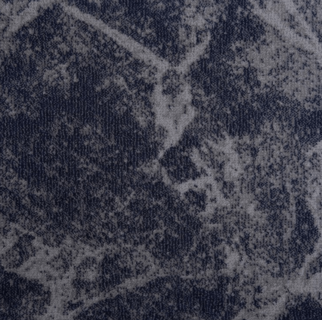 ALFRED: MARINE: ST01