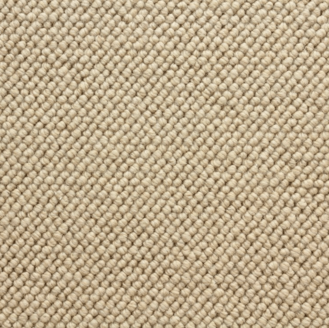 ALTA: SUNDANCE: ST01