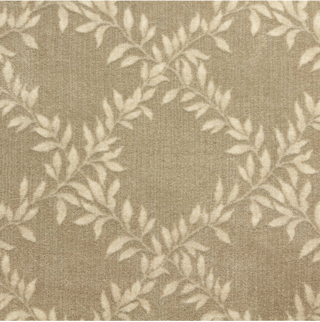 CARAVAGGIO: CHAMPAGNE: ST01