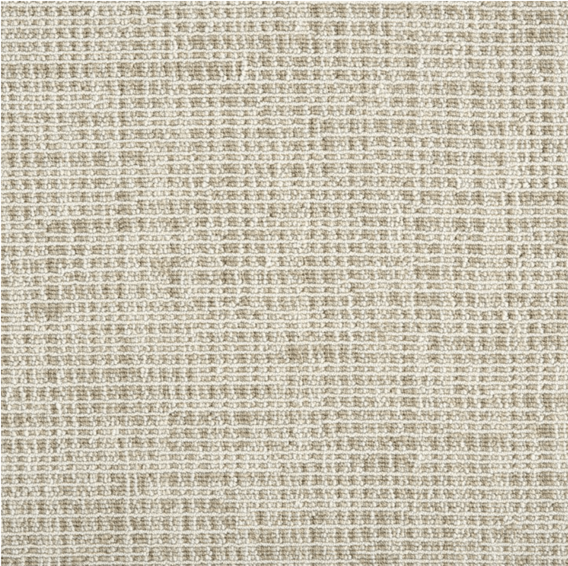 CARLOTTA: BARLEY: ST01