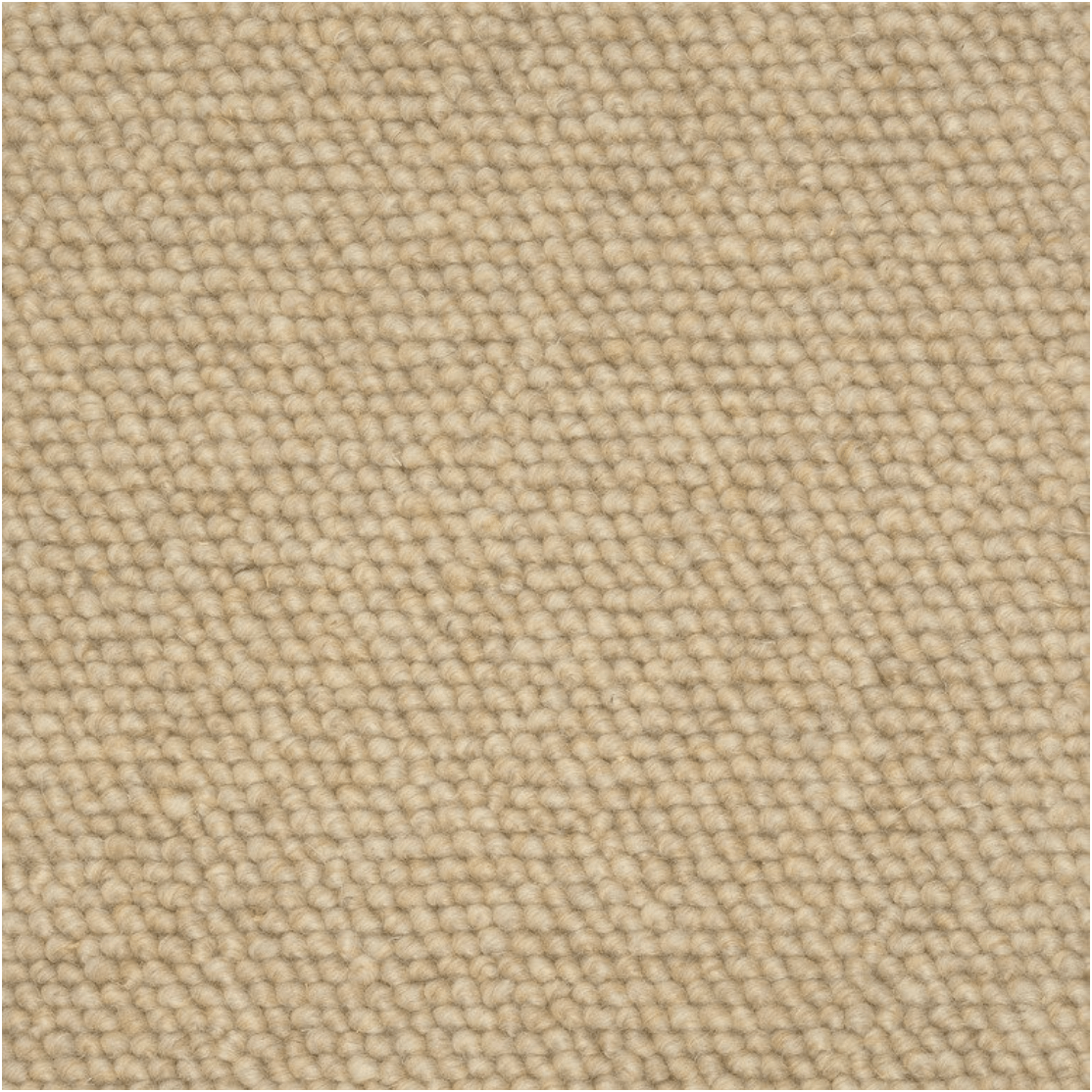 COLORADO: SUNDANCE: ST01