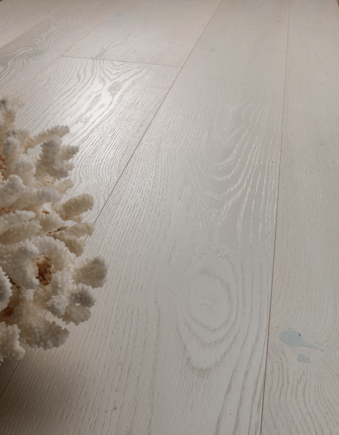 Oak Australia: brushed, varnished white stained, shell powder.