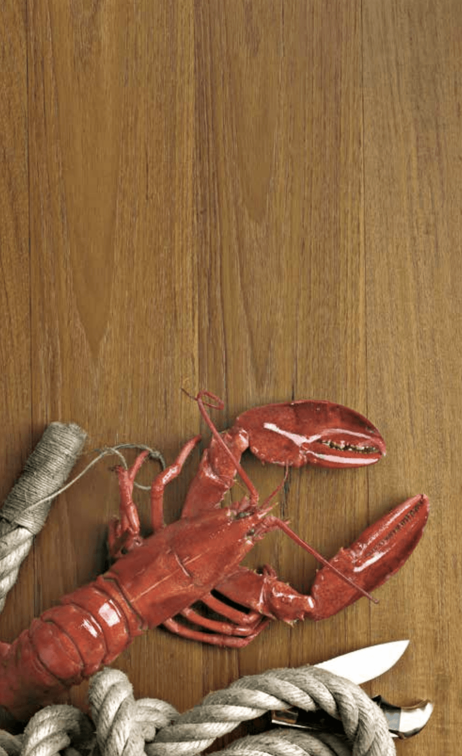 ASIAN TEAK Smoothed or brushed, unfInished or oiled or varnished transparent.