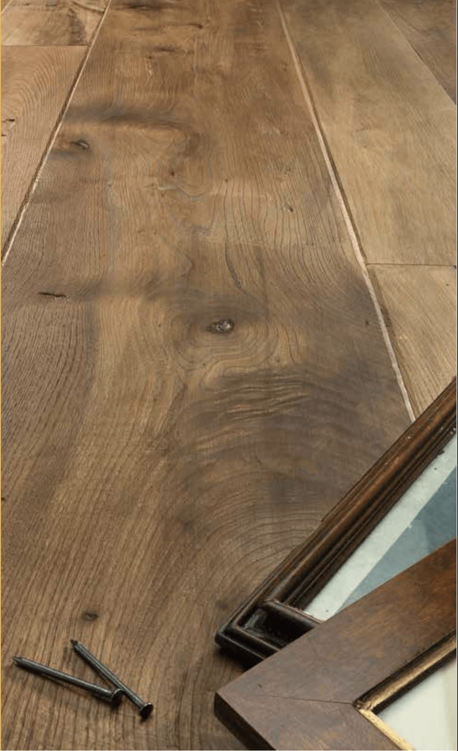 EUROPEAN ELM BASSANO