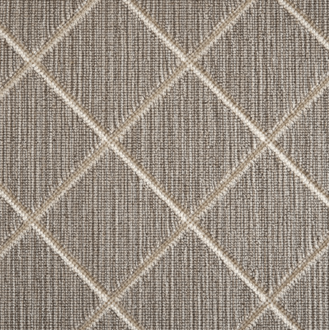 DARWIN: DESERT: ST01