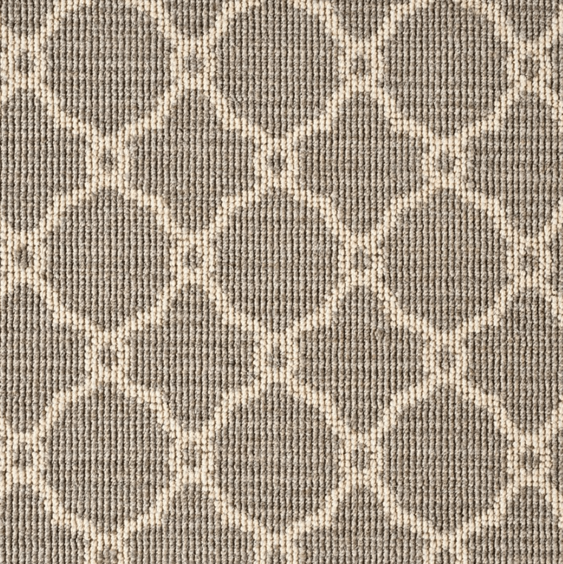 DEGRAW: PLATINUM: ST01