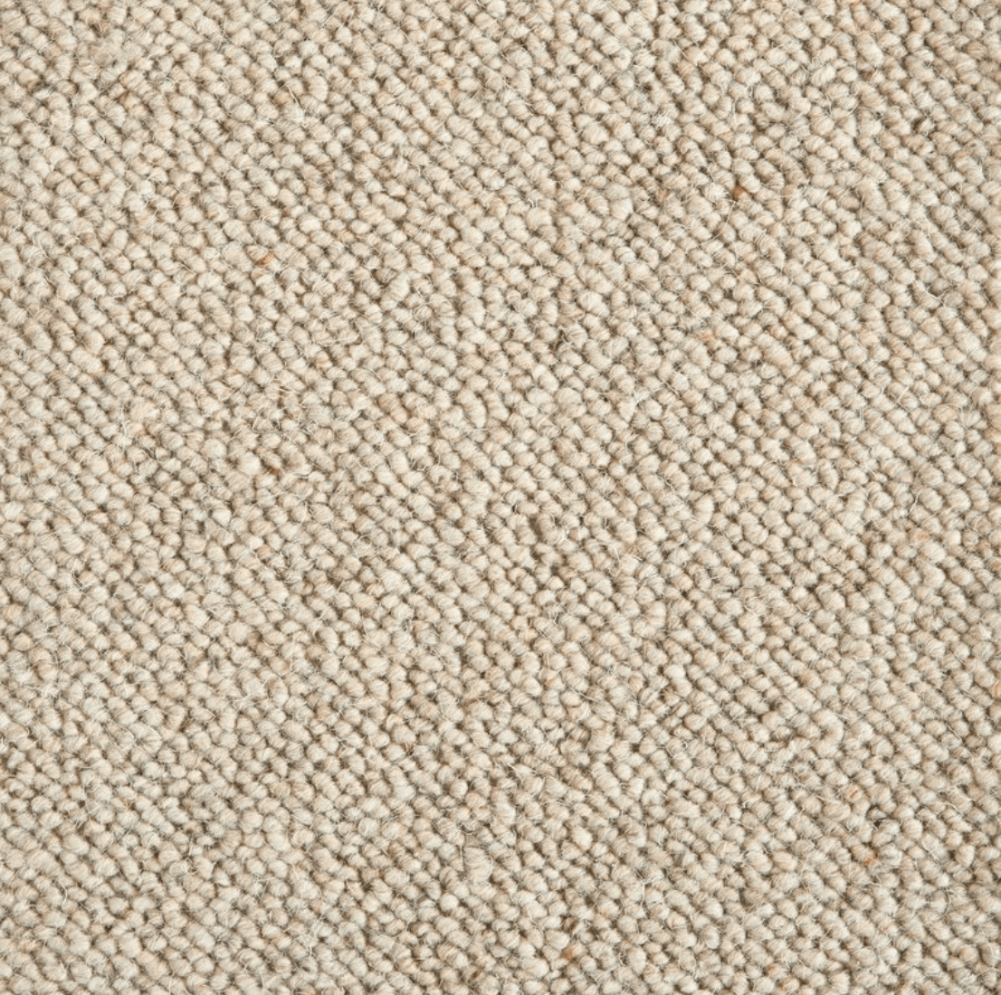 EVERGLADES: WESTERN SAND: ST01