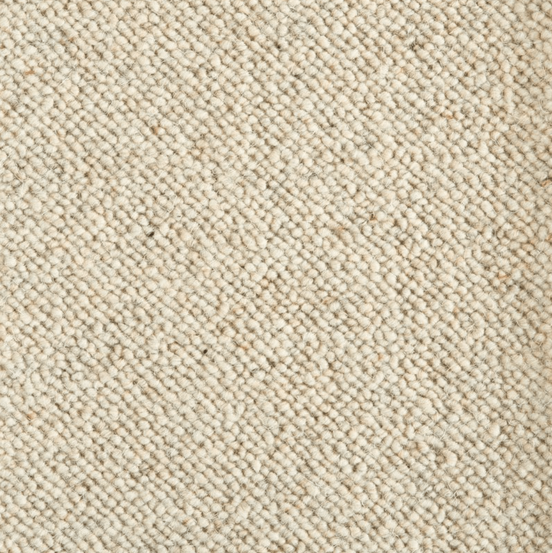 EVERGLADES: SUNDANCE: ST01