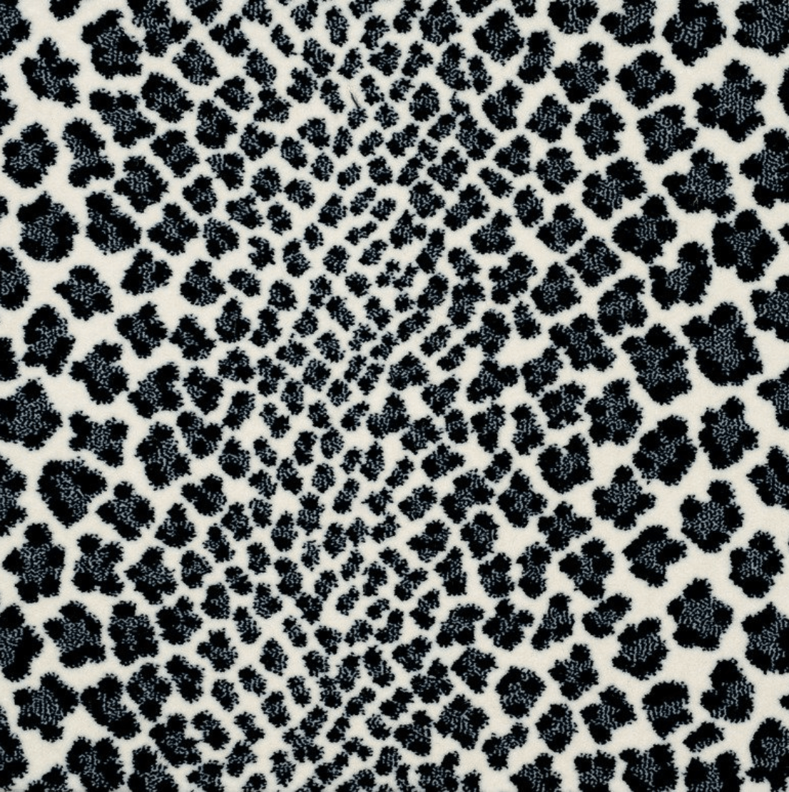 EXOTIC: BLACK & WHITE: ST01