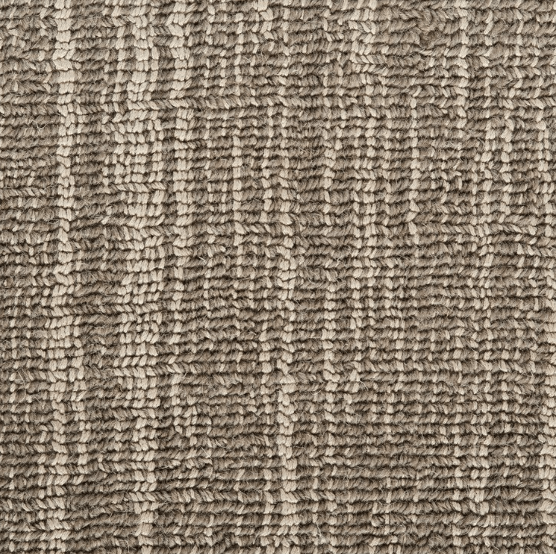 DAPHNE: PEWTER: STA1