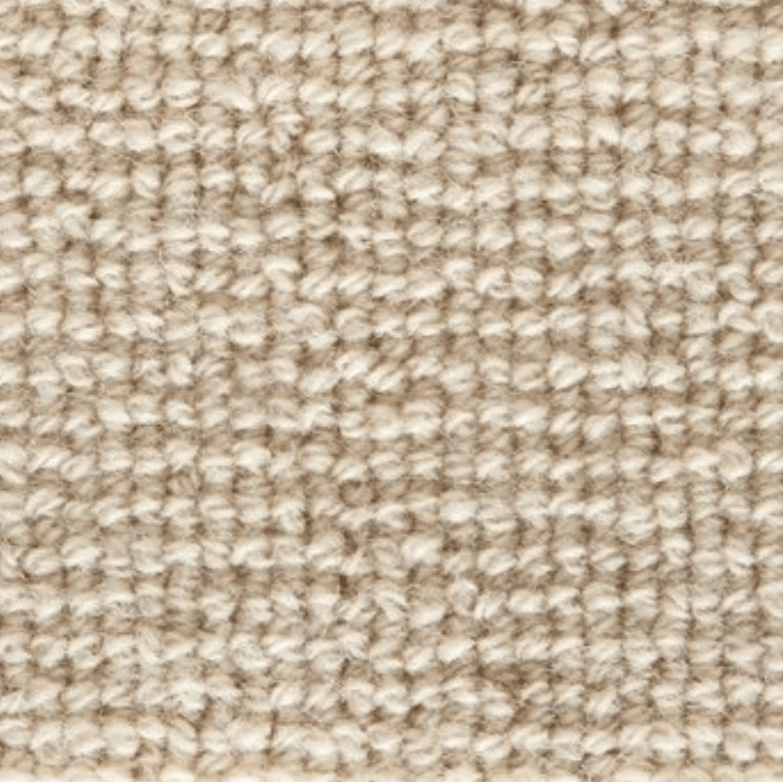 FORESTER: OYSTER: ST01