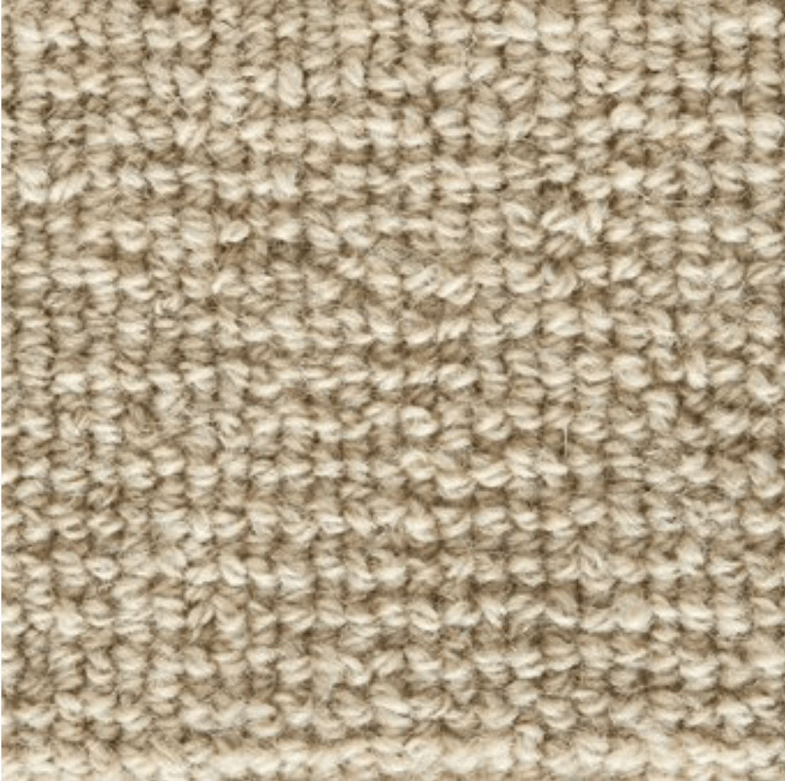 FORESTER: PEBBLE: ST01