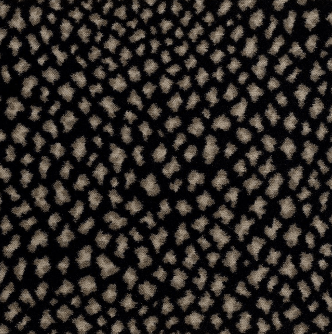 HABITAT: MIDNIGHT: ST01