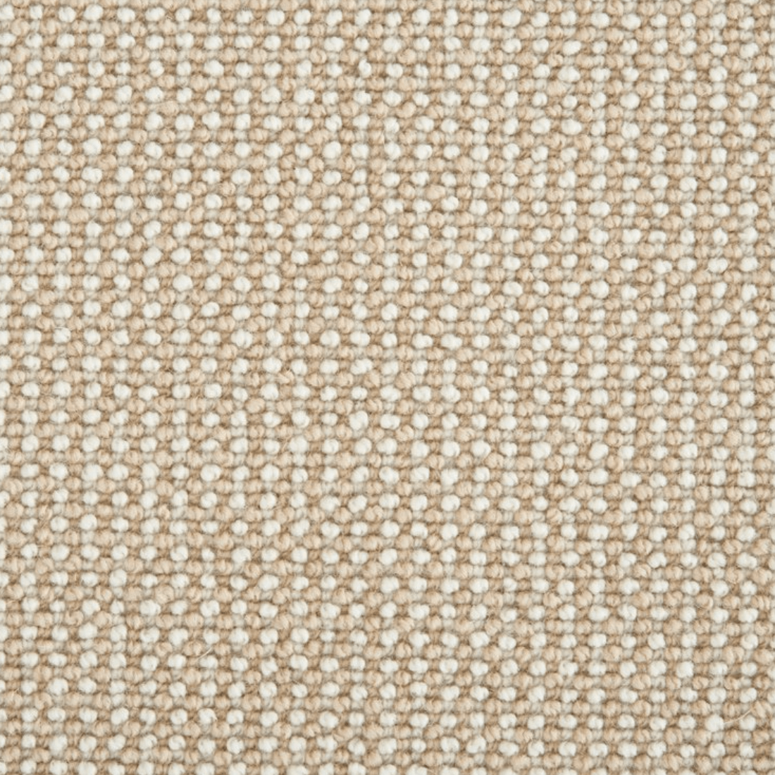 HARPER: CANVAS: ST01