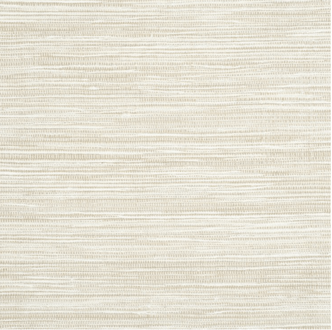 IBIZA: SEASHELL: ST01