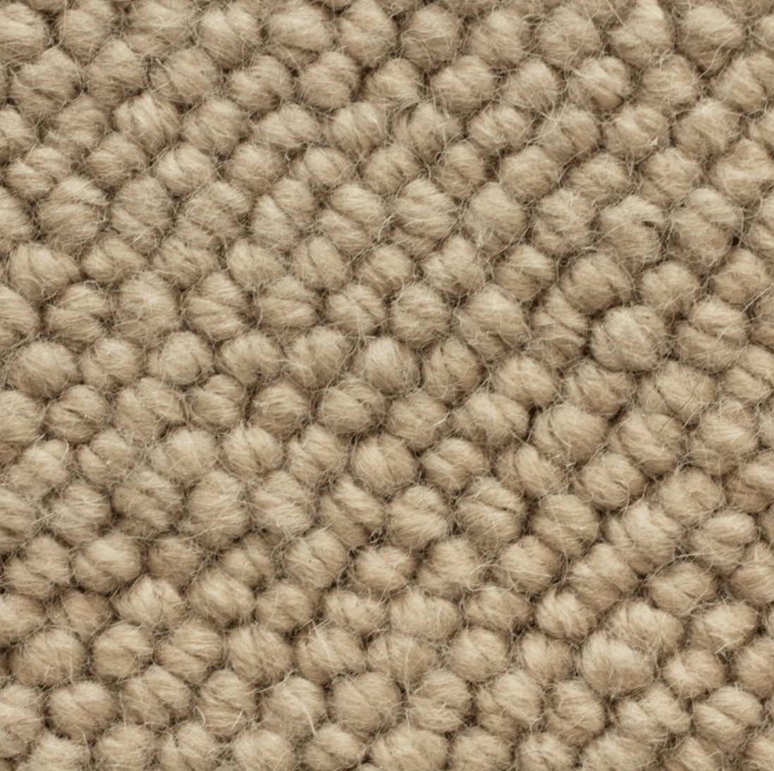 JAIPUR KING: PARCHMENT BEIGE: STA1