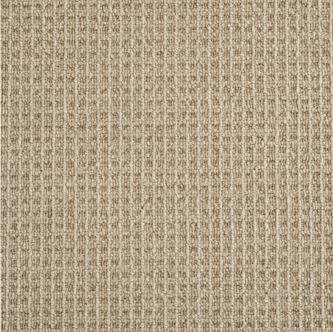 KING CANYON: PEBBLE: ST01