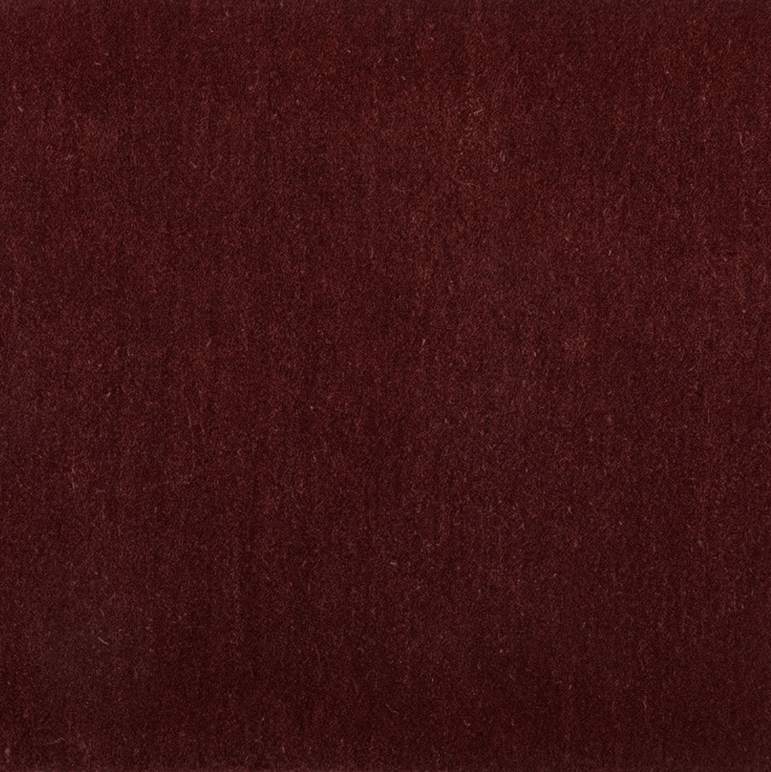 KALANI: WINTERBERRY: STA1