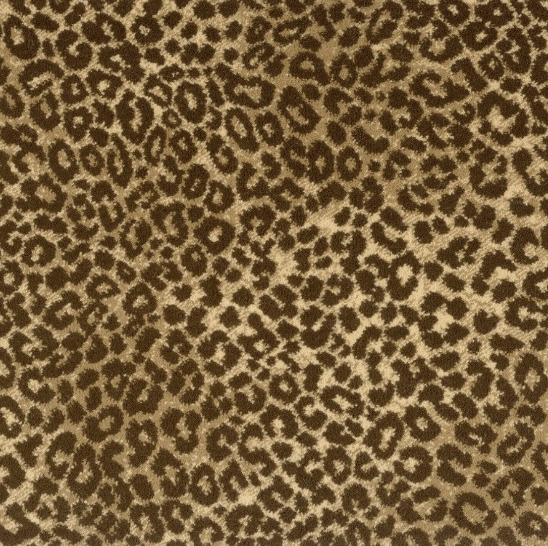 LAKE JAGUAR: SAND BROWN: ST01