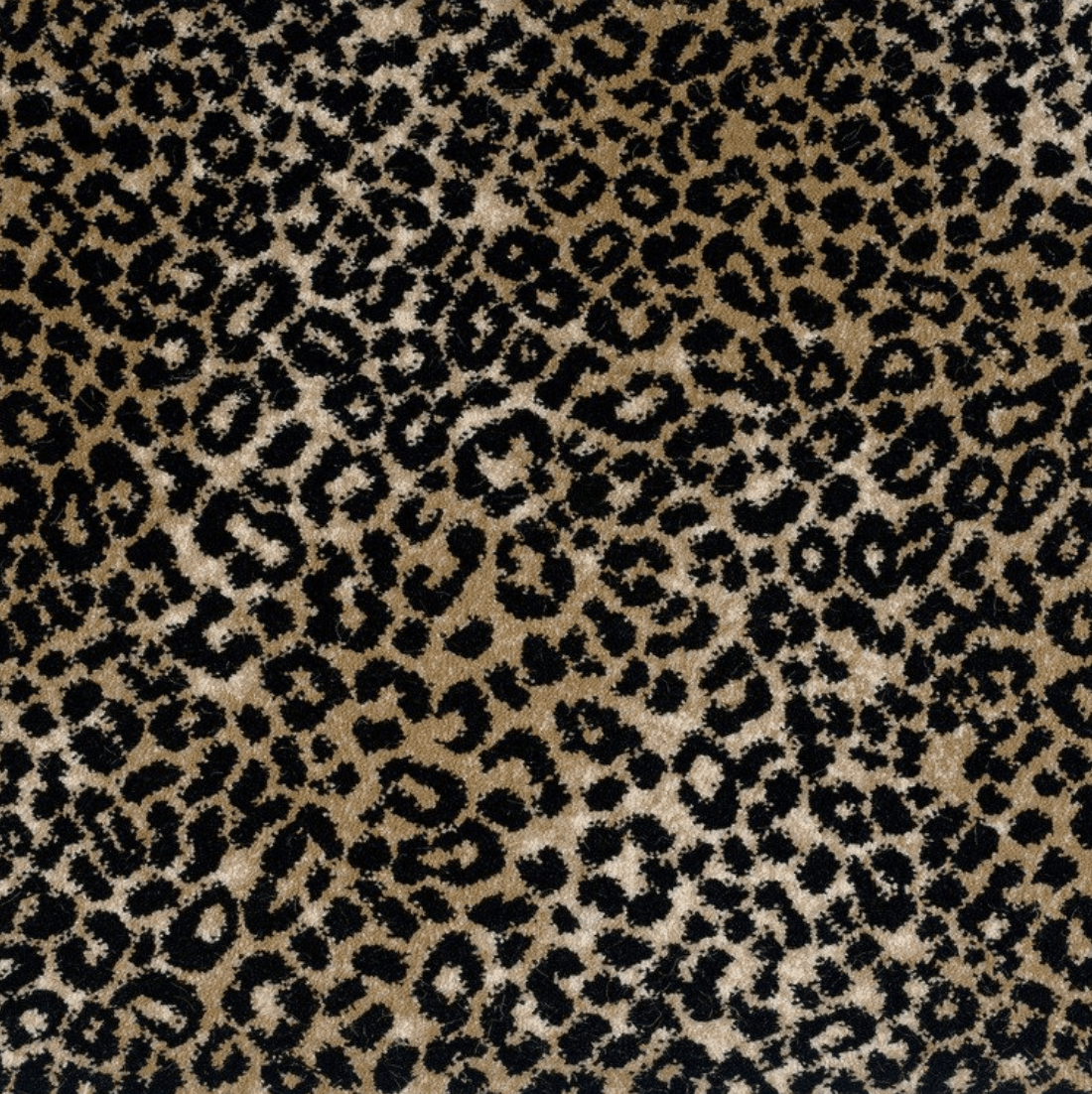 LAKE JAGUAR: TAUPE BLACK: ST01