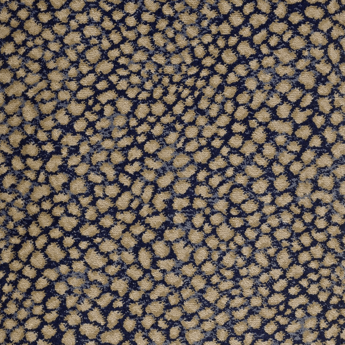 LAKE SAFARI: NAVY: ST01