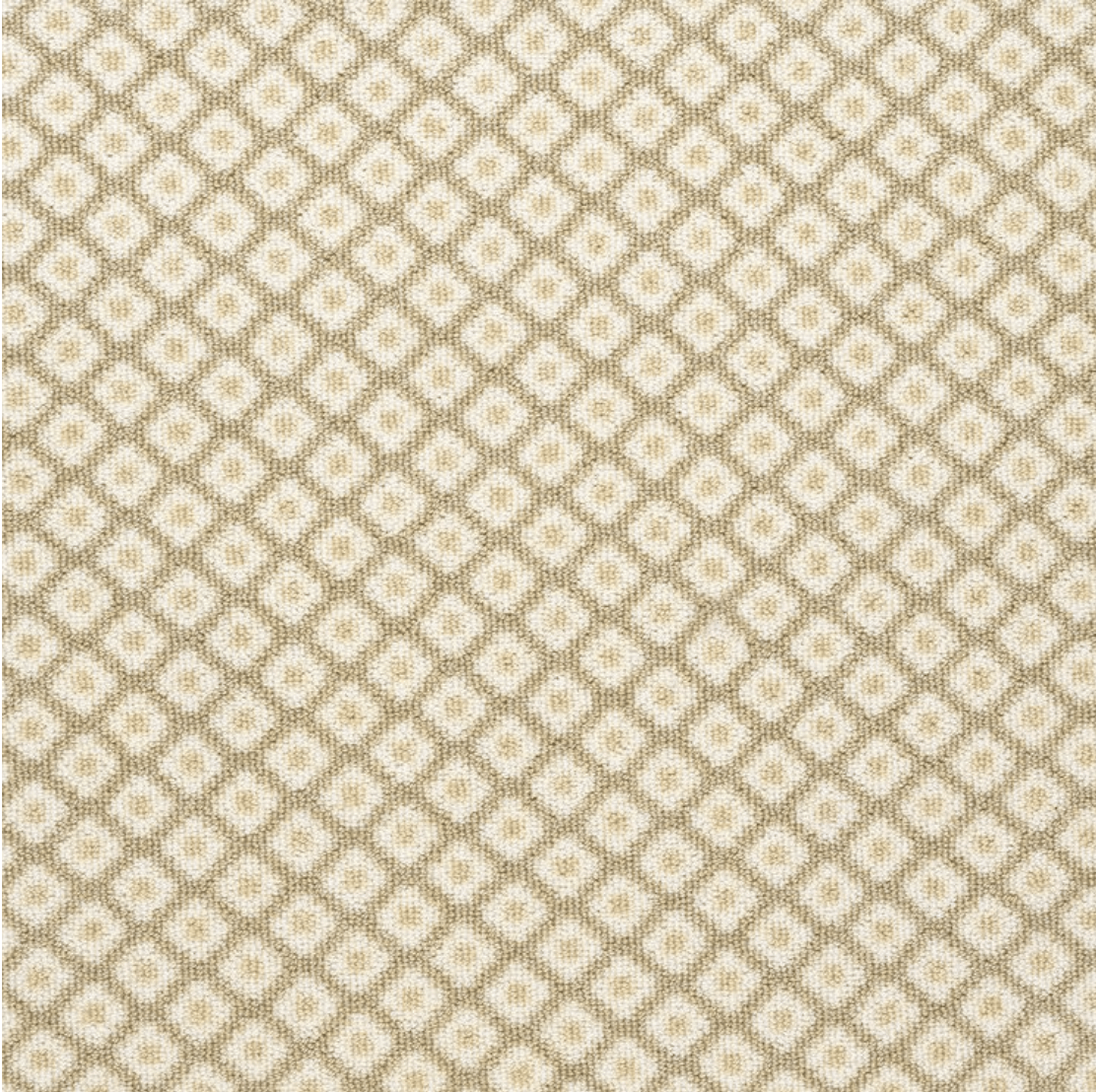 MATISSE: CHAMPAGNE: ST01