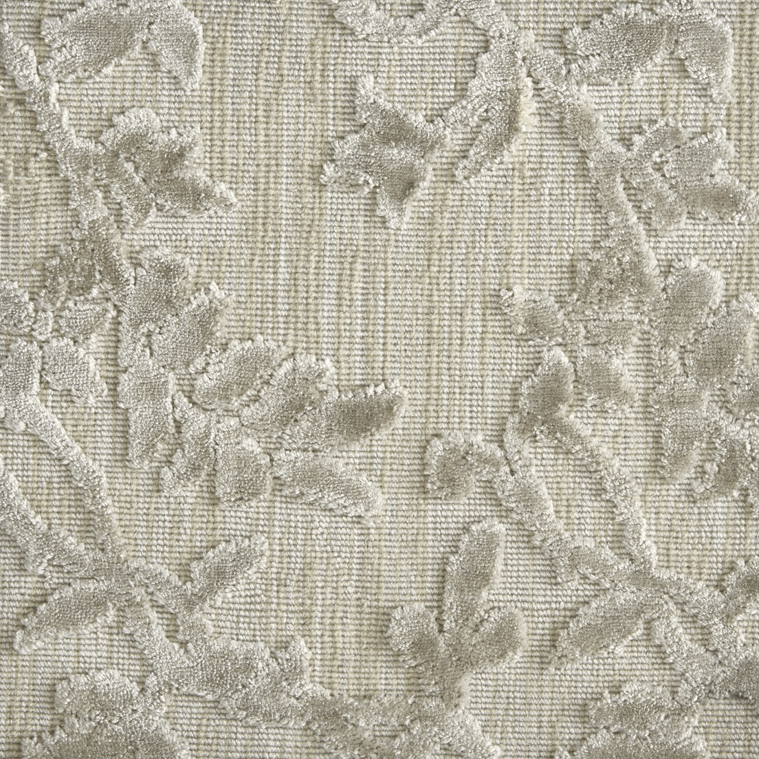 METROPOLIS FLORET: CAMEO: STR1