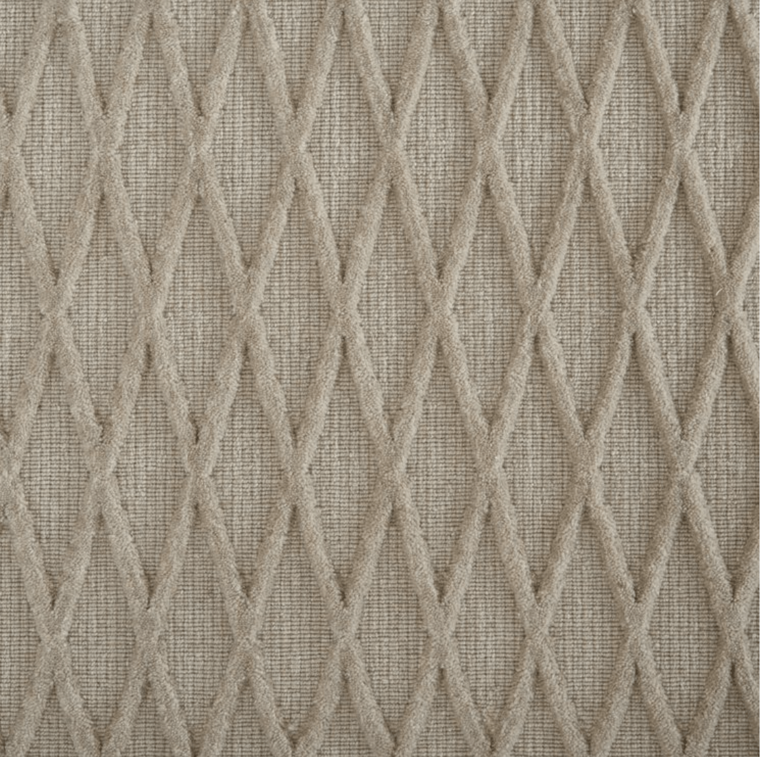 METROPOLIS VINE: BONE: STR1