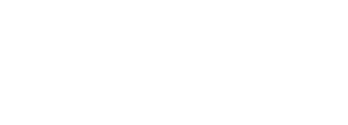 Company Logo - Footer