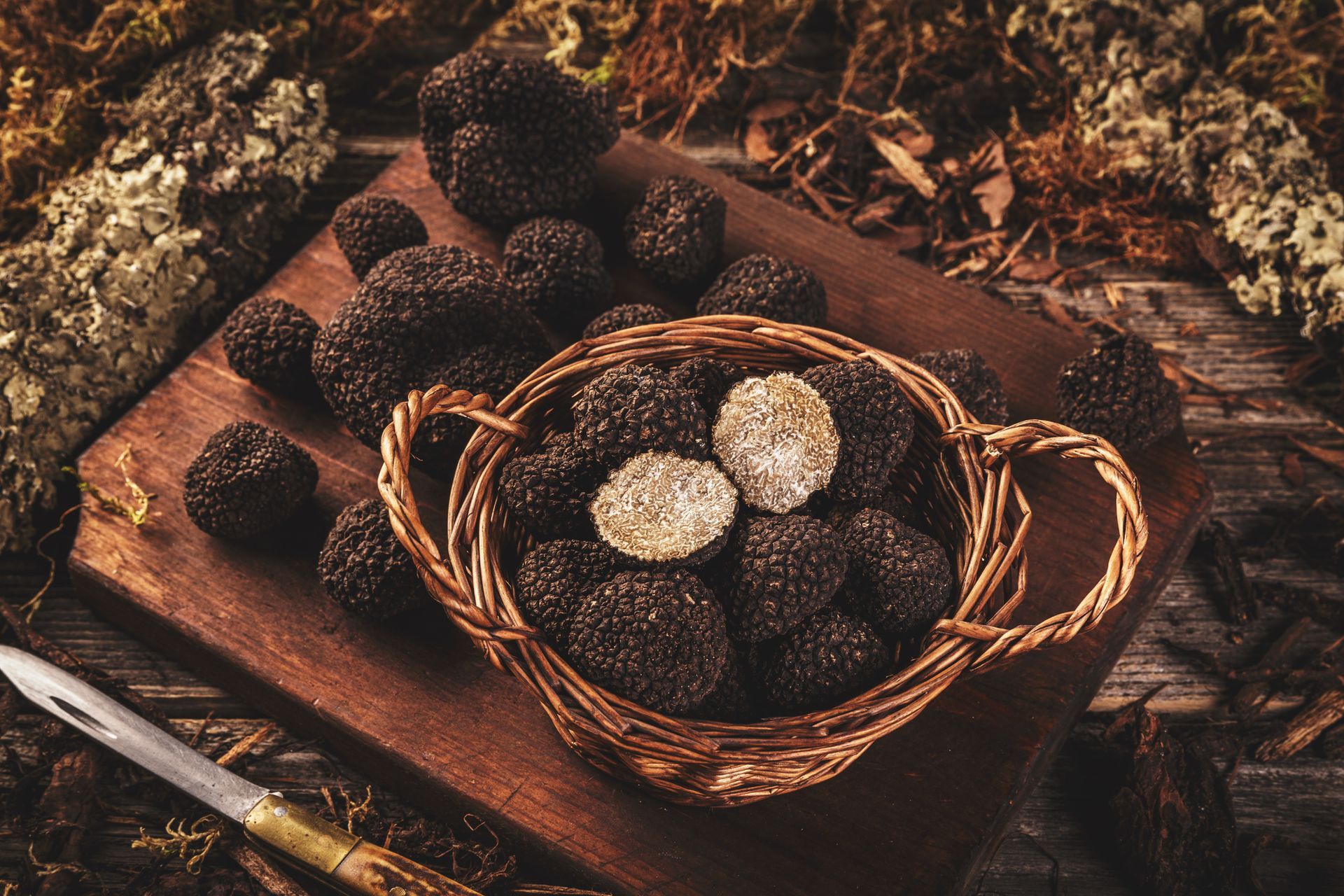 tartufo nero