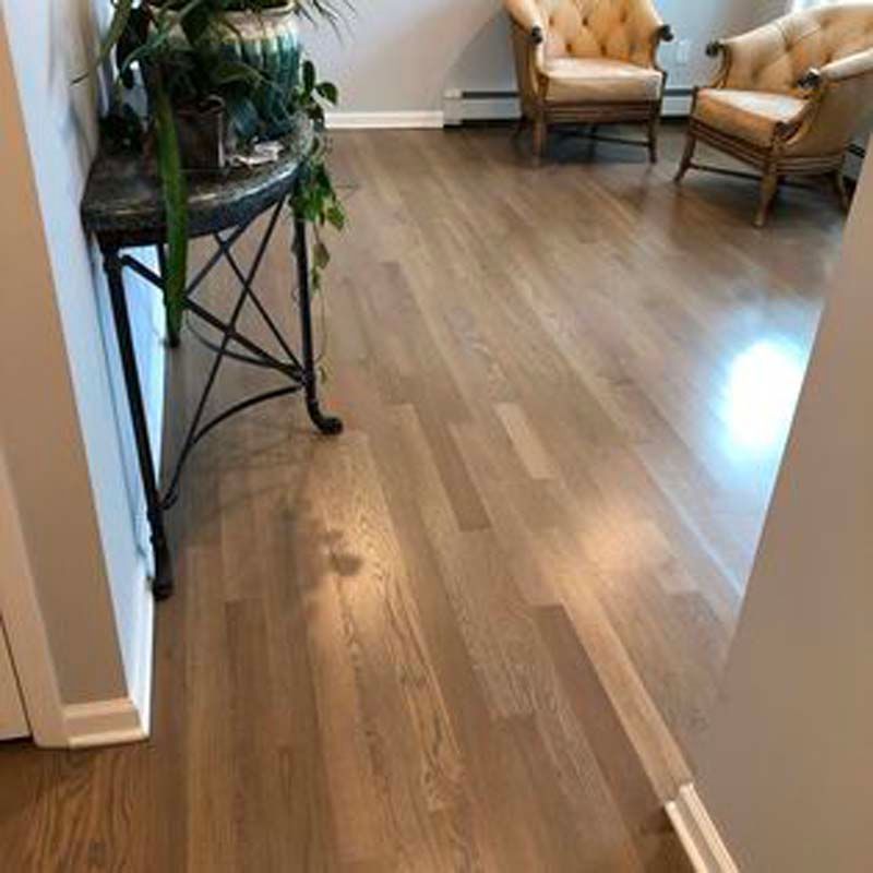 A living room with hardwood floors , chairs , a table and a plant.