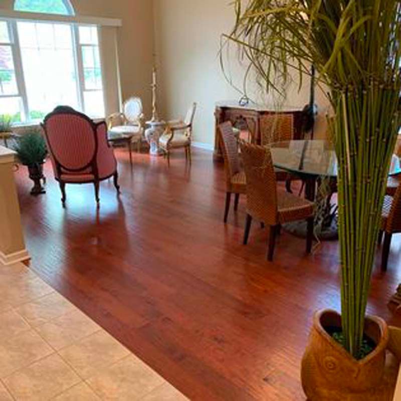 A living room with hardwood floors , chairs , a table and a potted plant.